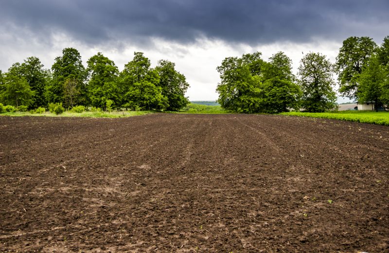 Terrain Clearing in Houston, TX